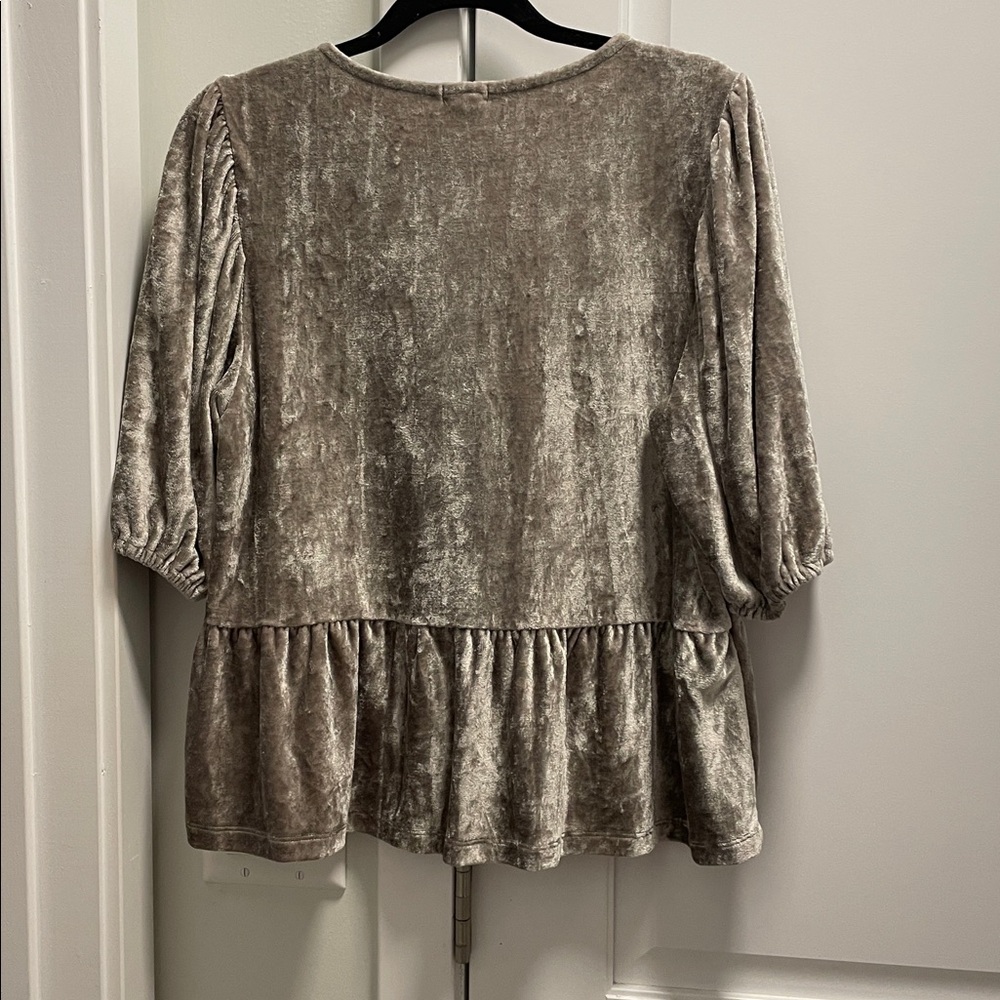 Dylan Velvet V-Neck Blouse in Taupe - Picture 7 of 7